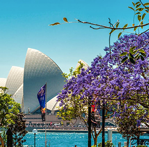 Du lịch Úc mùa Xuân - Sydney - Blue Mountains 1 ngày tự do từ Sài Gòn 2025