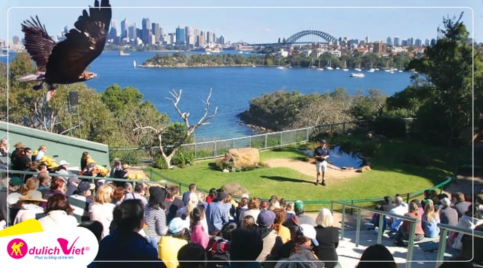 Tham quan sở thú Taronga ở Sydney