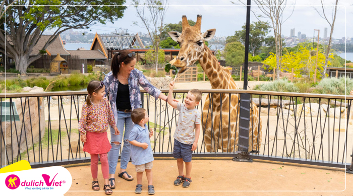 Tham quan sở thú Taronga ở Sydney