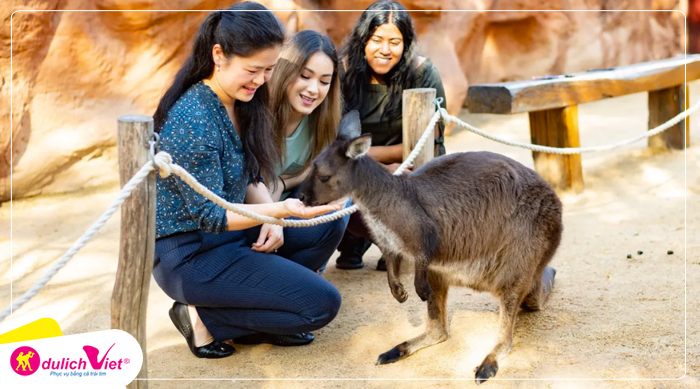 Tham quan Sydney Wildlìe Zoo