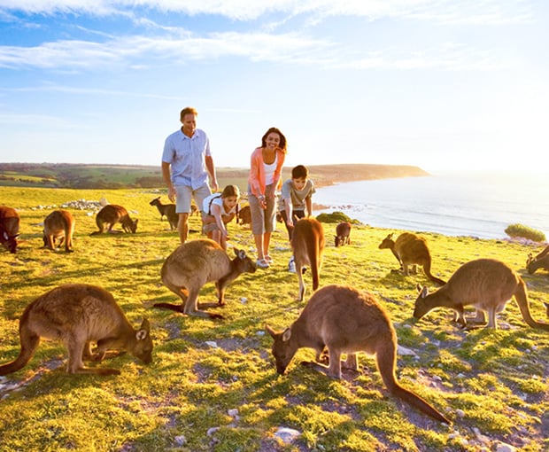 Du lịch Úc mùa Thu - Sydney - Melbourne 6N5Đ từ Sài Gòn 2025