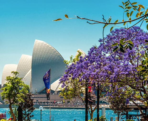 Du lịch Úc mùa Xuân - Sydney - Blue Mountains 1 ngày tự do từ Sài Gòn 2025