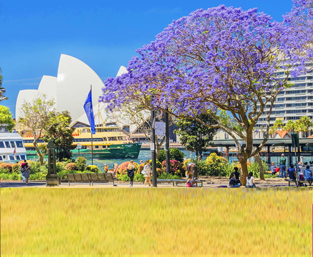 Du lịch Úc - Sydney - Melbourne mùa Hoa Phượng Tím 6N5Đ từ Sài Gòn 2025