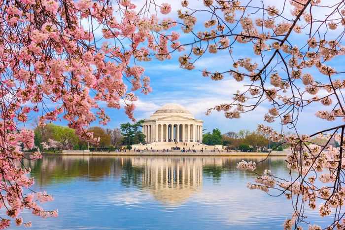 Du lịch Mỹ lễ hội hoa anh đào Washington D.C từ Hà Nội
