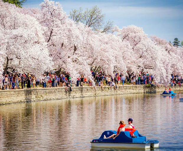 Du lịch Mỹ mùa Xuân - New York - Boston - Washington DC - Las Vegas - Los Angeles từ Hà Nội 2026