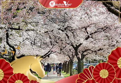 TOUR NEW ZEALAND TẾT NGUYÊN ĐÁN 9N8Đ | AUCKLAND – MATAMATA – ROTORUA – WAITOMO – QUEENSTOWN – MILFORD SOUND – MT COOK – TEKAPO – CHRISTCHURCH