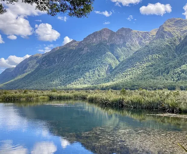 TOUR NEW ZEALAND MÙA HÈ 9N8Đ | AUCKLAND – MATAMATA – ROTORUA – WAITOMO – QUEENSTOWN – MILFORD SOUND – MT COOK – TEKAPO – CHRISTCHURCH
