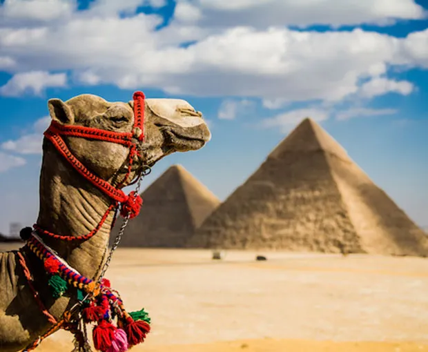 TOUR AI CẬP LỄ 30/4 | CAIRO - BAHARIYA - LUXOR - BIỂN ĐỎ (9N8Đ)
