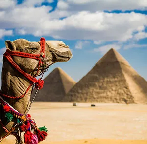 TOUR AI CẬP LỄ 30/4 | CAIRO - BAHARIYA - LUXOR - BIỂN ĐỎ (9N8Đ)