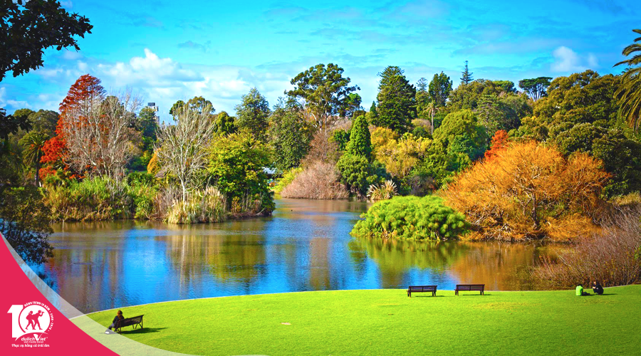 Du lịch mùa thu nước Úc Sydney - Vịnh Jervis - Ngắm cá heo - Melbourne - Ballarat từ Sài Gòn