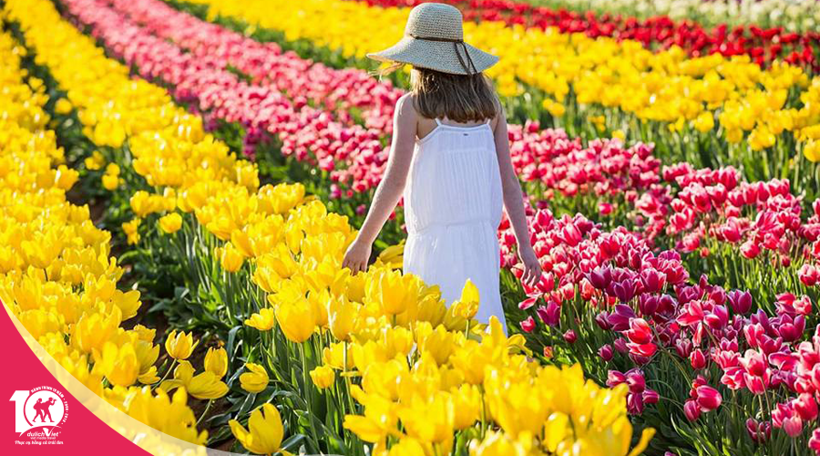 Du lịch Úc mùa Xuân - Melbourne - Sydney từ Sài Gòn giá tốt