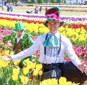 Du lịch Châu Âu Pháp - Luxembourg - Bỉ - Hà Lan - Đức Lễ hội hoa Keukenhof từ Sài Gòn 2025