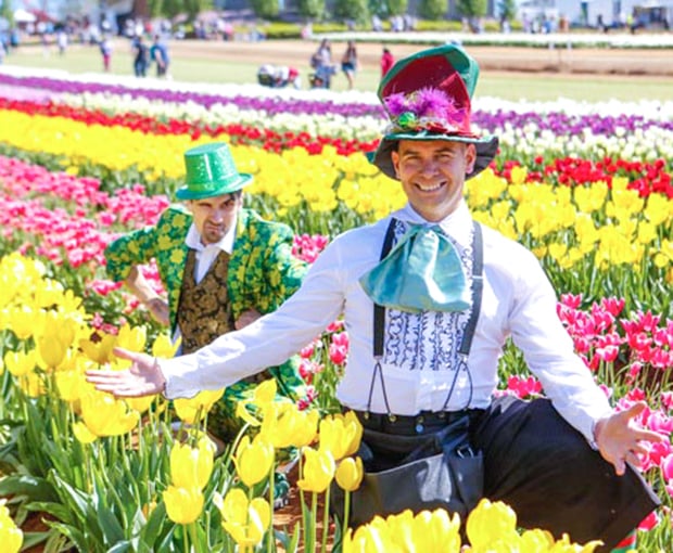 Du lịch Châu Âu Pháp - Luxembourg - Bỉ - Hà Lan - Đức Lễ hội hoa Keukenhof từ Sài Gòn 2025