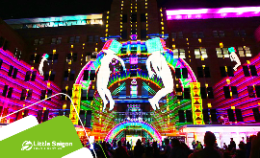 Du lịch Úc - Sydney - Canberra - Lễ hội ánh sáng Vivid Sydney từ Sài Gòn giá tốt