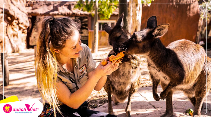 Wild-Life-Sydney-Zoo-du-lich-viet
