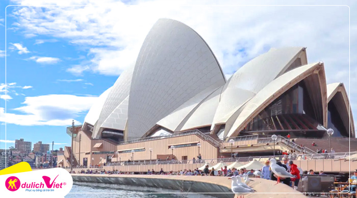 cho-ca-sydney-tour-mua-dong-du-lich-viet