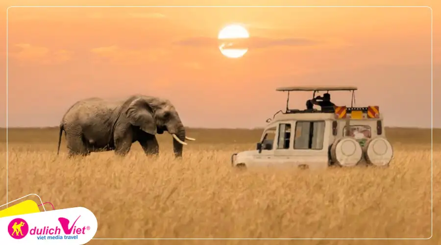 Công viên quốc gia Maasai Mara