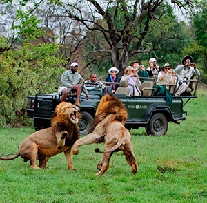 Du lịch Nam Phi - Johannesburg - Pretoria - Sun City - Cape Town từ Hà Nội