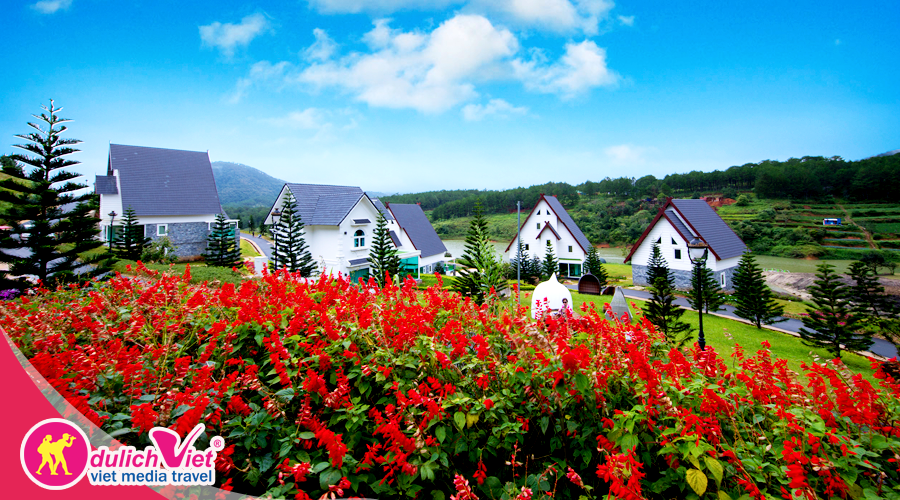 Tour Free & Easy Đà Lạt - Combo cao cấp 4 sao tại Wonder Resort + Vé máy bay từ Sài Gòn 2025