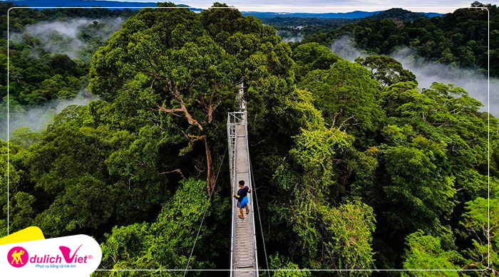 The top of Temburong