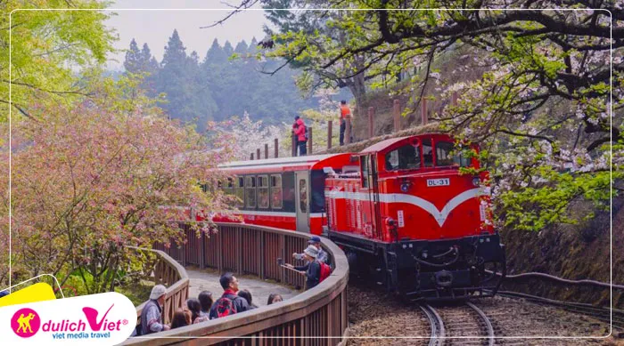 TOUR ĐÀI LOAN MÙA XUÂN 5N4Đ | ĐÀI BẮC - NAM ĐẦU - ALISHAN - ĐÀI TRUNG