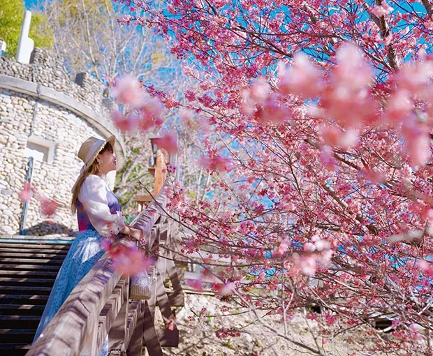 TOUR ĐÀI LOAN MÙA HOA ANH ĐÀO 5N4Đ | CAO HÙNG - ĐÀI TRUNG - ĐÀI BẮC