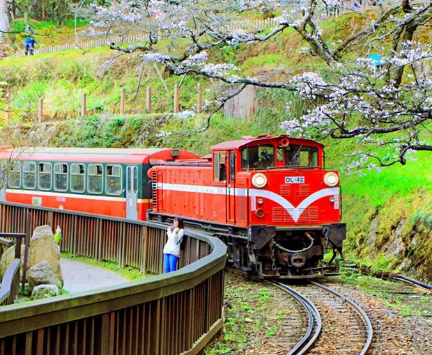 TOUR ĐÀI LOAN TẾT NGUYÊN ĐÁN 5N4Đ | CAO HÙNG - ĐÀI TRUNG - ALISHAN - ĐÀI BẮC