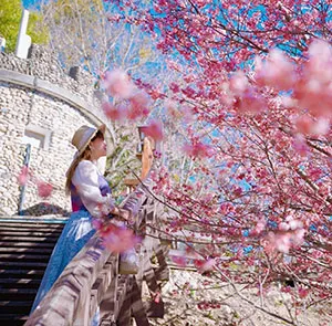 TOUR ĐÀI LOAN MÙA HOA ANH ĐÀO 5N4Đ | CAO HÙNG - ĐÀI TRUNG - ĐÀI BẮC