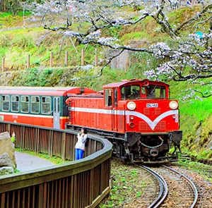 TOUR ĐÀI LOAN TẾT NGUYÊN ĐÁN 5N4Đ | CAO HÙNG - ĐÀI TRUNG - ALISHAN - ĐÀI BẮC