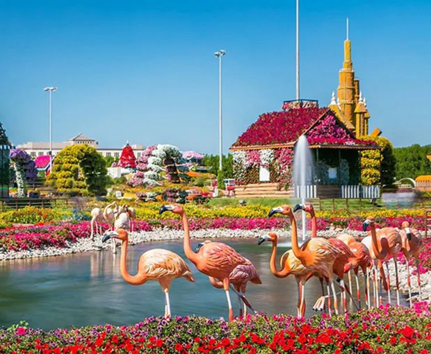 TOUR BRUNEI - DUBAI - ABU DHABI MÙA THU 6N5Đ | Sa Mạc Safari Trung Đông