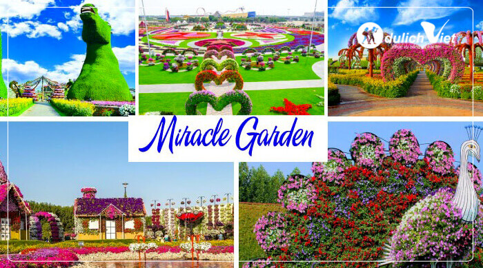 du-lich-dubai-thanh-duong-hoi-giao-sheikh-du-lich-viet