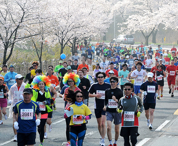 Du lịch Hàn Quốc mùa Hoa Anh Đào - Gyeongju Marathon lần thứ 31 từ Sài Gòn 2025