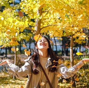 Du lịch Hàn Quốc mùa Thu - Seoul - Lotte Word - Đảo Nami từ Sài Gòn 2025