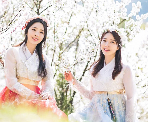 Du lịch Hàn Quốc mùa Hoa Anh Đào - Seoul - Lotte World - Đảo Nami từ Sài Gòn 2025
