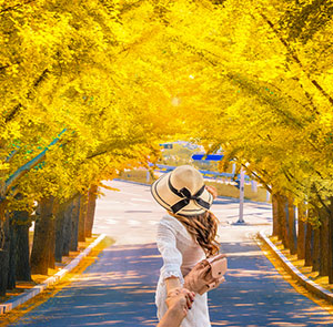 Du lịch mùa Thu - Tour Du lịch Hàn Quốc 4N3Đ bay Vietnam Airlines từ Sài Gòn giá tốt 2025