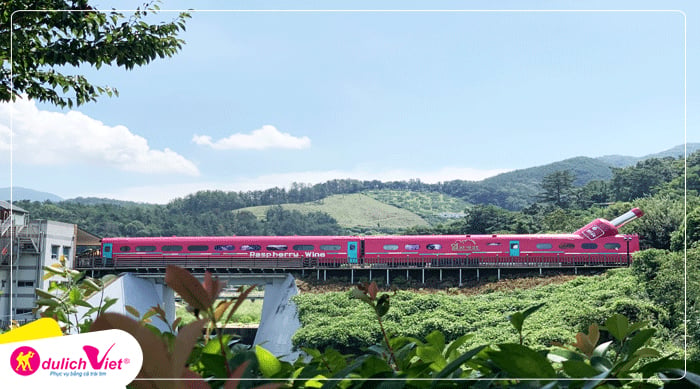 du-lich-mua-xuan-trai-nghiem-dap-xe-dap-tren-duong-ray-du-lich-viet