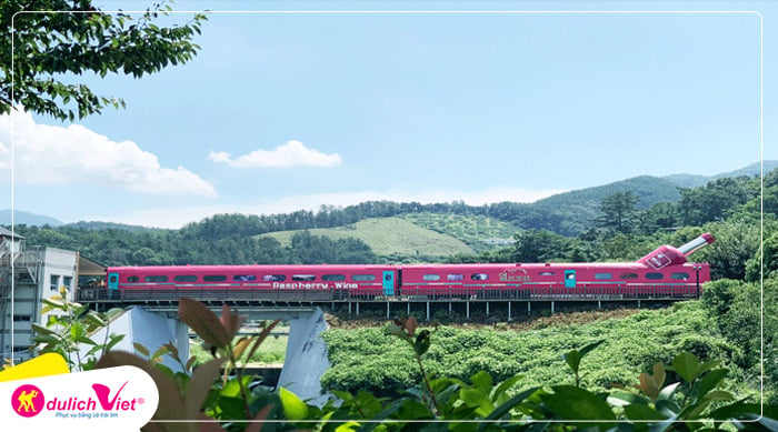 dap-xe-dap-tren-duong-ray-du-lich-viet