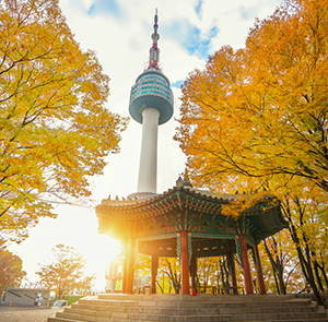 Du lịch Hàn Quốc mùa Thu - Seoul - Lotte World - Đảo Nami từ Sài Gòn 2025