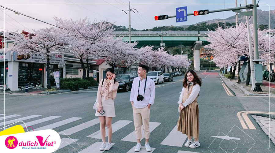 Du lịch Hàn Quốc mùa hoa Anh Đào 4N4Đ từ Sài Gòn