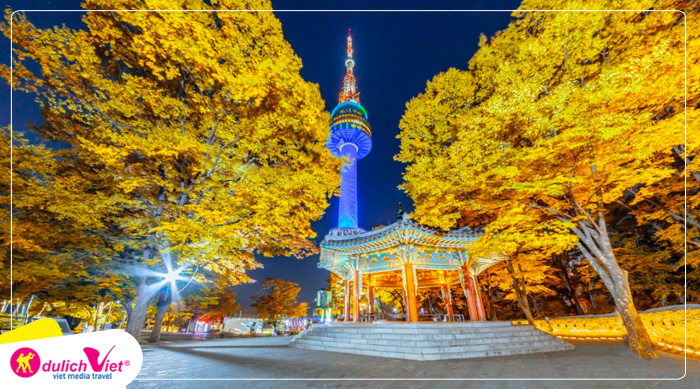Du lịch Hàn Quốc mùa Thu - Gapyeong Begonia Bird Park - Seoul - Tháp namsan từ Sài Gòn 2025