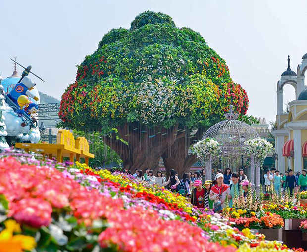 Du lịch Hàn Quốc Hè 2025 - Seoul - Jeju - Nami - Everland từ Sài Gòn