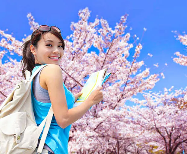 TOUR HÀN QUỐC MÙA HOA ANH ĐÀO 5N5Đ | SEOUL - BUSAN - ĐẢO NAMI - LÀNG CỔ BUKCHON