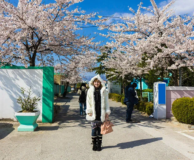 TOUR HÀN QUỐC MÙA XUÂN 5N4Đ | SEOUL - ĐẢO NAMI - EVERLAND (Bay VNA)