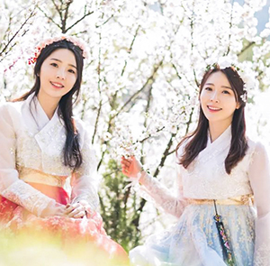 Du lịch Hàn Quốc mùa Hoa Anh Đào - Seoul - Lotte World - Đảo Nami từ Sài Gòn 2025