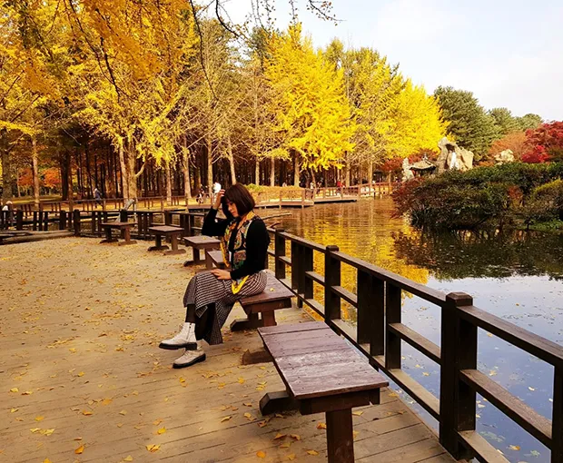 TOUR HÀN QUỐC MÙA THU | SEOUL - EVERLAND PARK - ĐẢO NAMI - THÁP NAMSAN