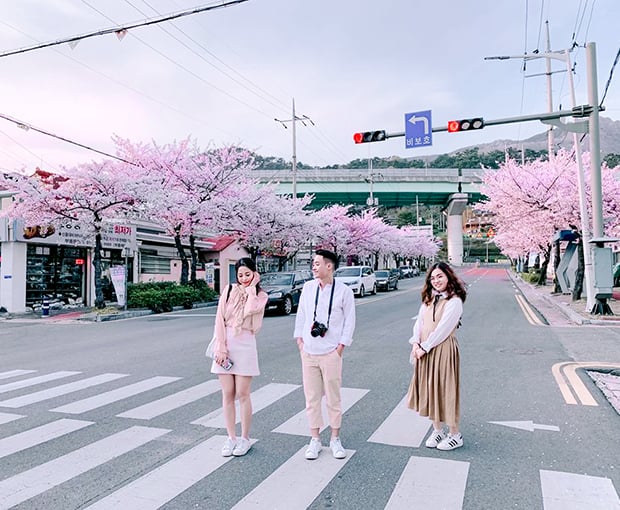 Du lịch Hàn Quốc mùa Hoa Anh Đào - Busan - Seoul - Đảo Nami từ Sài Gòn 2025