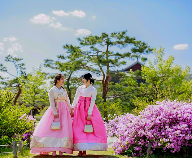 Du lịch Hàn Quốc mùa Hoa Anh Đào - Seoul - Everland - Đảo Nami - Tháp Namsan từ Sài Gòn