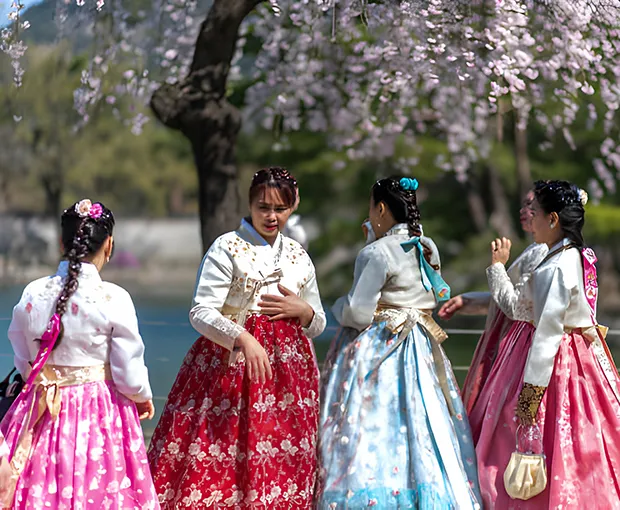 TOUR HÀN QUỐC TẾT NGUYÊN ĐÁN 5N4Đ | SEOUL - EVERLAND (Hái trái cây - Trượt tuyết)