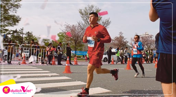 tour-han-quoc-mua-hoa-anh-dao-marathon-du-lich-viet