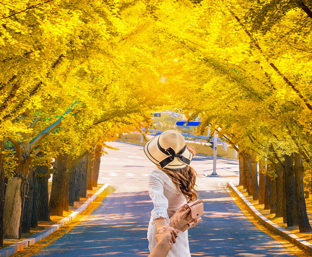 Du lịch mùa Thu - Tour Du lịch Hàn Quốc 4N3Đ bay Vietnam Airlines từ Sài Gòn giá tốt 2025